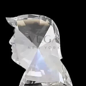 Donald Trump 2025 diamond shape Lab Diamond