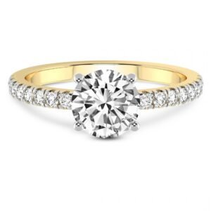 Delicate Pavé Band with Brilliant Round Side Stone Diamonds Engagement Ring
